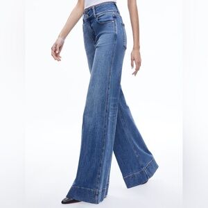 Alice + Olivia Missa Jean
Size 26
Excellent used condition